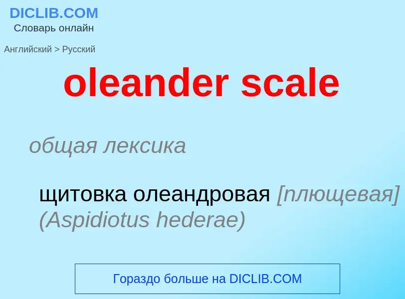 Vertaling van &#39oleander scale&#39 naar Russisch