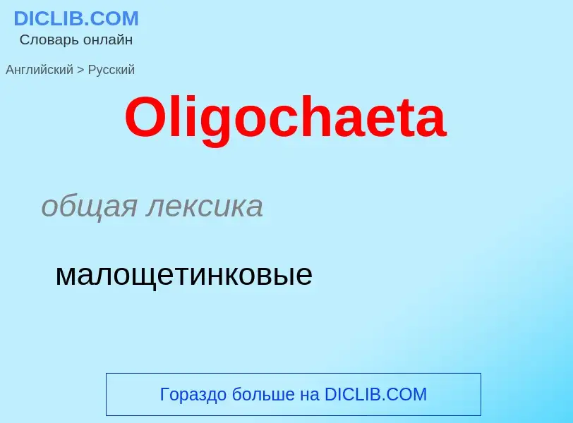 Как переводится Oligochaeta на Русский язык