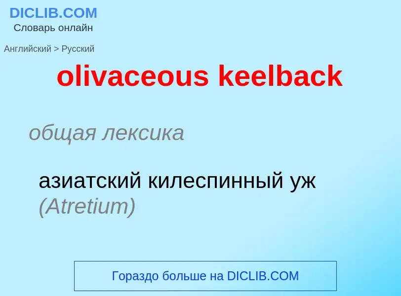 ¿Cómo se dice olivaceous keelback en Ruso? Traducción de &#39olivaceous keelback&#39 al Ruso