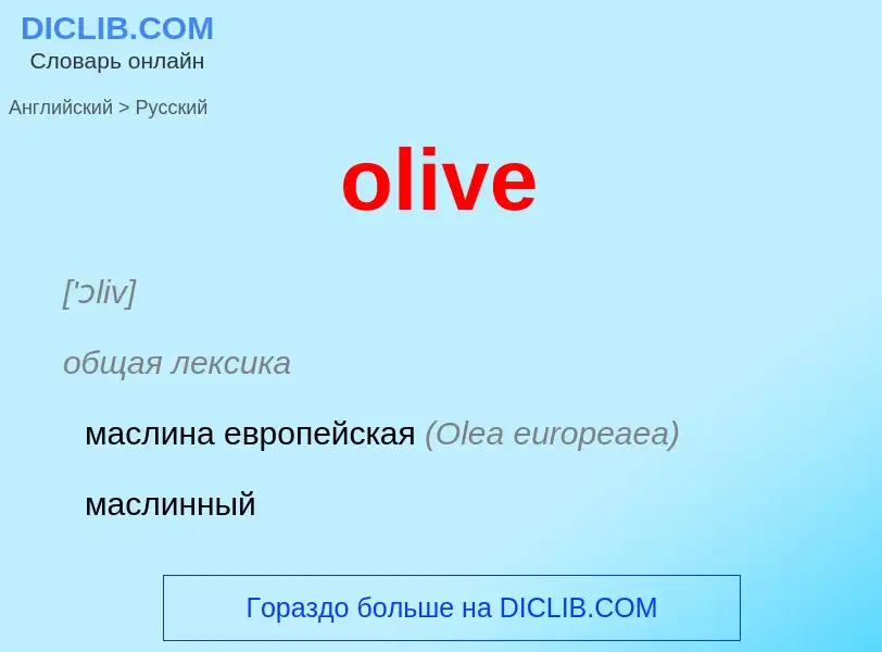 Как переводится olive на Русский язык