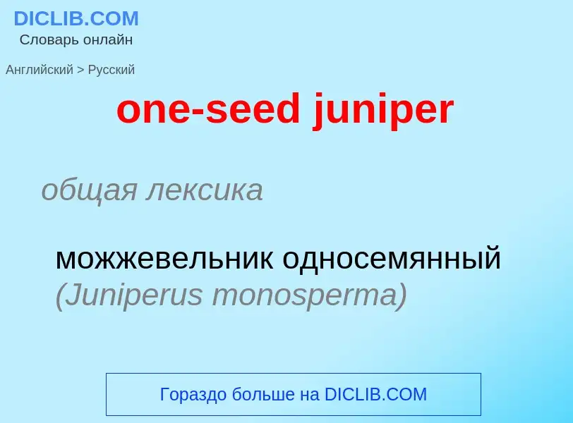 Как переводится one-seed juniper на Русский язык