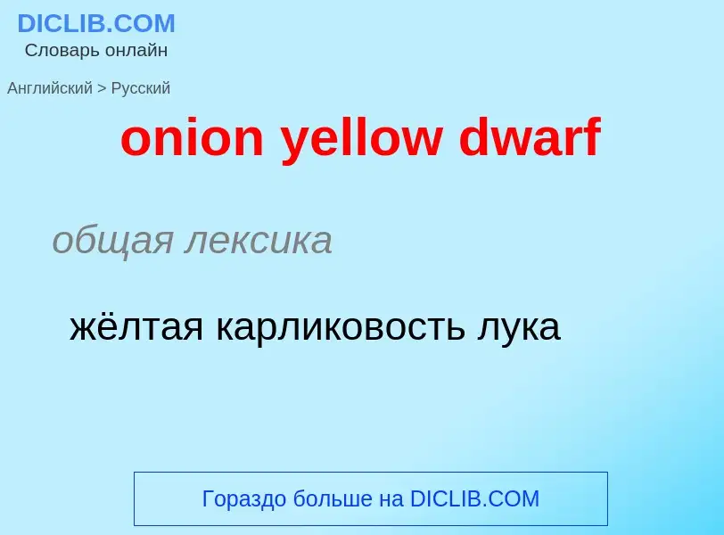 Vertaling van &#39onion yellow dwarf&#39 naar Russisch