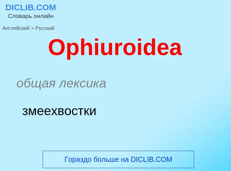 Как переводится Ophiuroidea на Русский язык