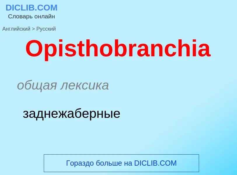 Как переводится Opisthobranchia на Русский язык