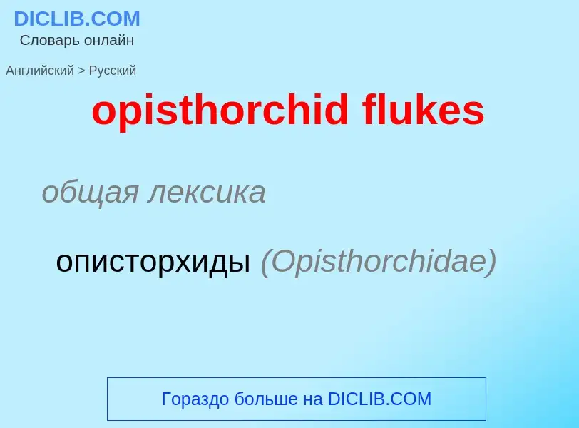 Traduzione di &#39opisthorchid flukes&#39 in Russo