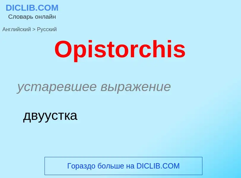 Как переводится Opistorchis на Русский язык