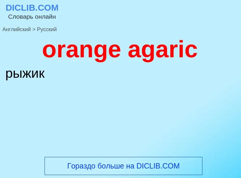 Traduction de &#39orange agaric&#39 en Russe