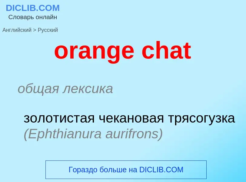 Vertaling van &#39orange chat&#39 naar Russisch