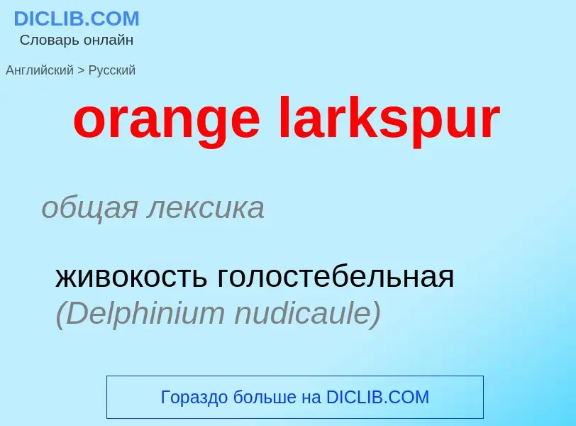 Vertaling van &#39orange larkspur&#39 naar Russisch