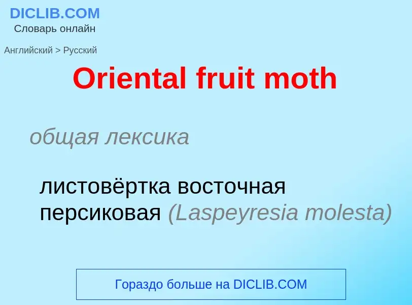 Как переводится Oriental fruit moth на Русский язык