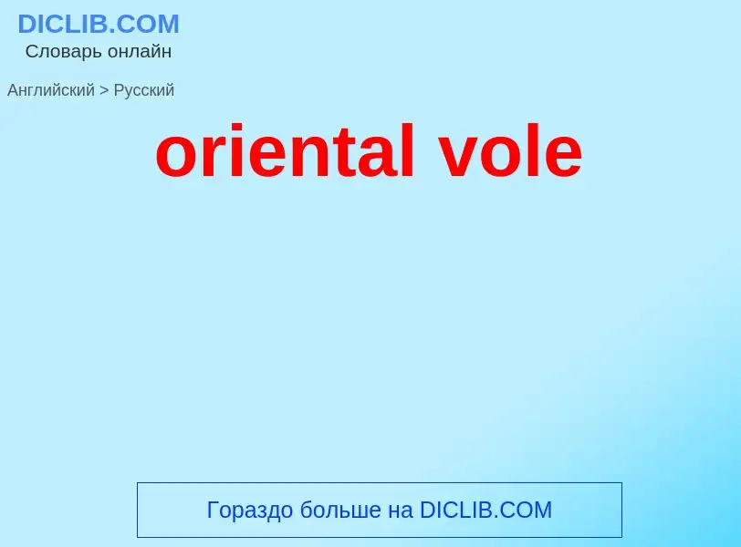 ¿Cómo se dice oriental vole en Ruso? Traducción de &#39oriental vole&#39 al Ruso