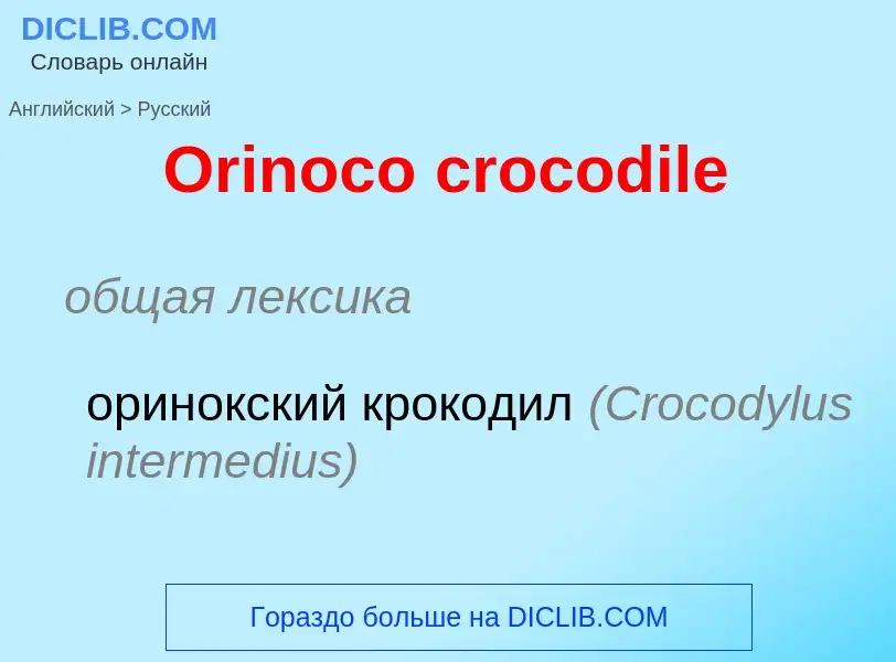 Μετάφραση του &#39Orinoco crocodile&#39 σε Ρωσικά