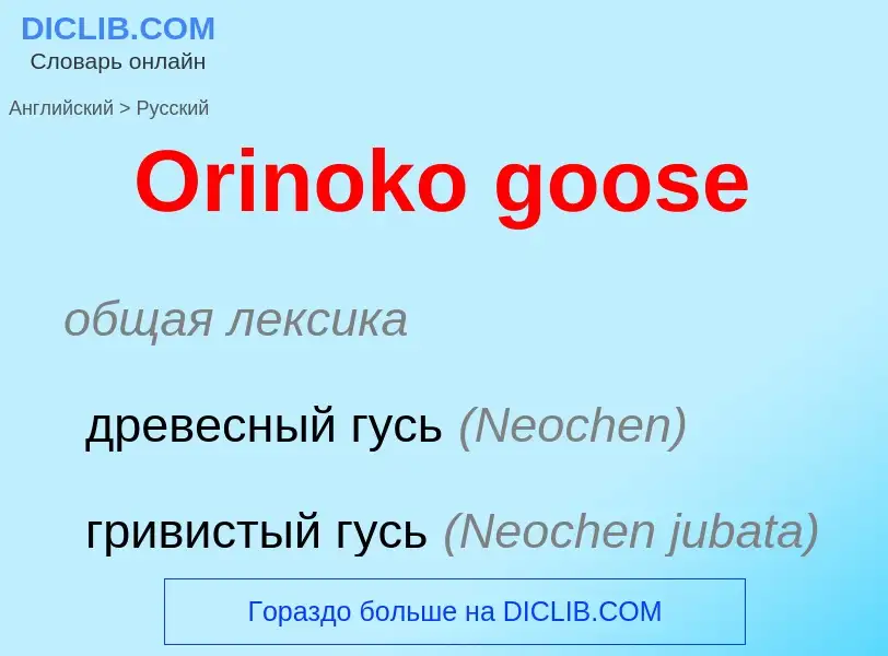 Как переводится Orinoko goose на Русский язык