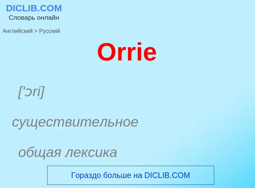 Как переводится Orrie на Русский язык