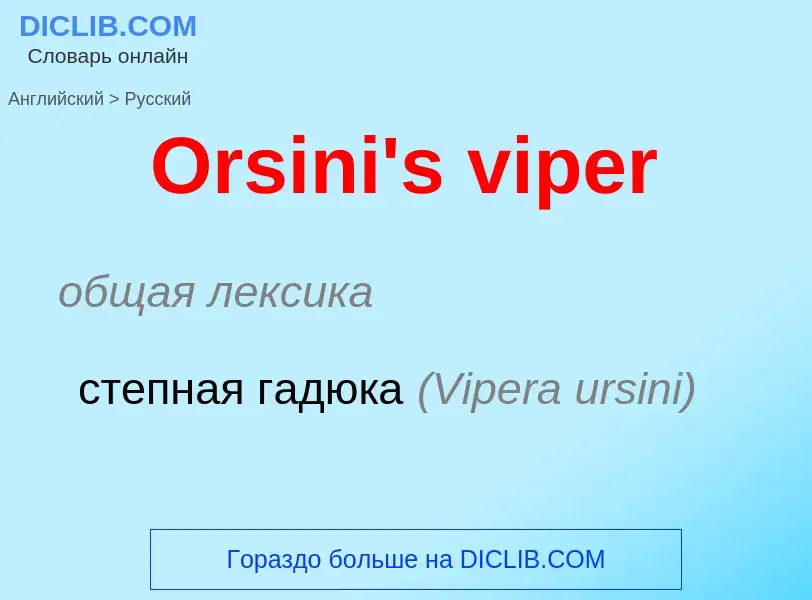 Как переводится Orsini's viper на Русский язык