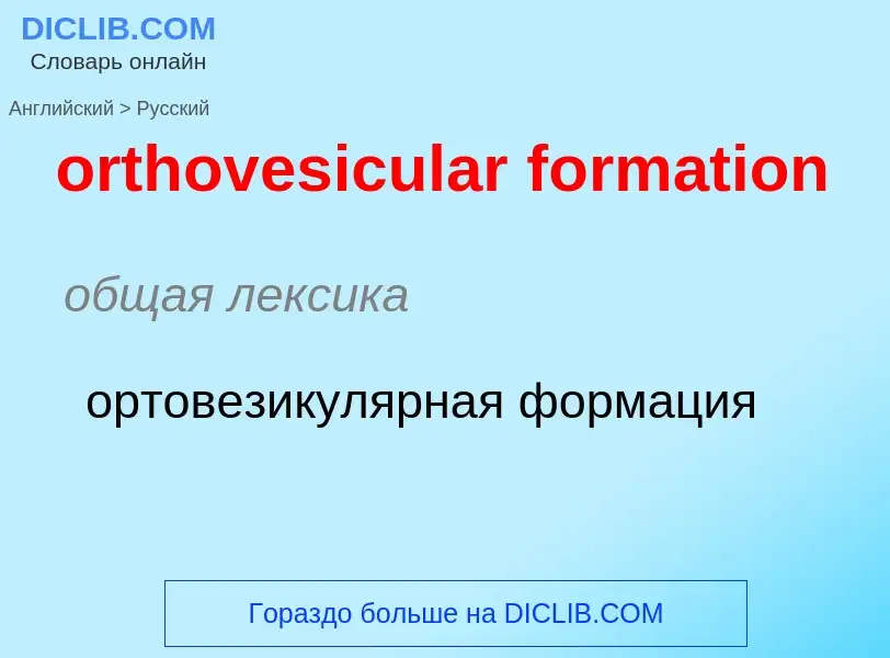 Как переводится orthovesicular formation на Русский язык