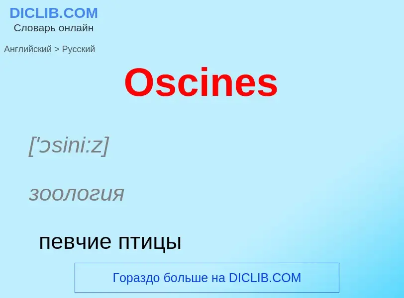 Как переводится Oscines на Русский язык