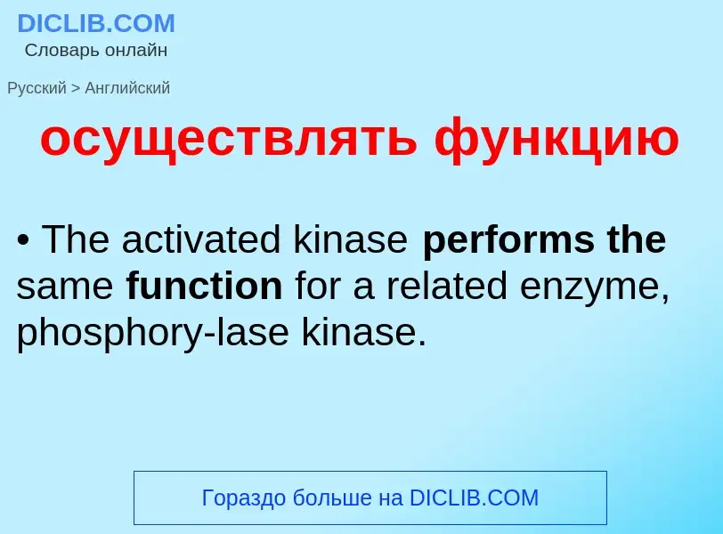 Как переводится осуществлять функцию на Английский язык