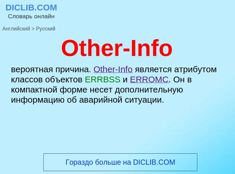 Как переводится Other-Info на Русский язык