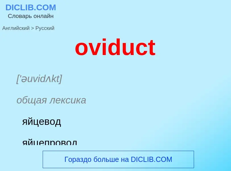 Como se diz oviduct em Russo? Tradução de &#39oviduct&#39 em Russo