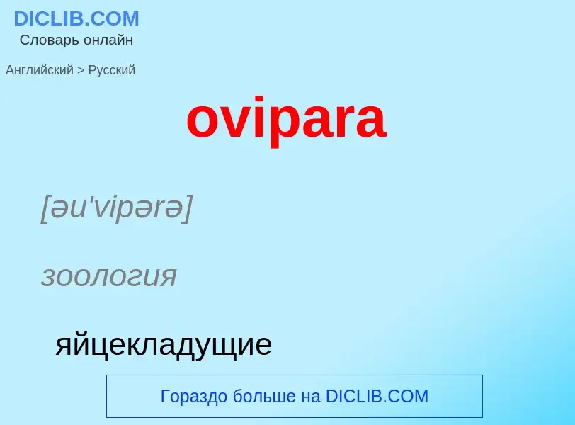 Как переводится ovipara на Русский язык