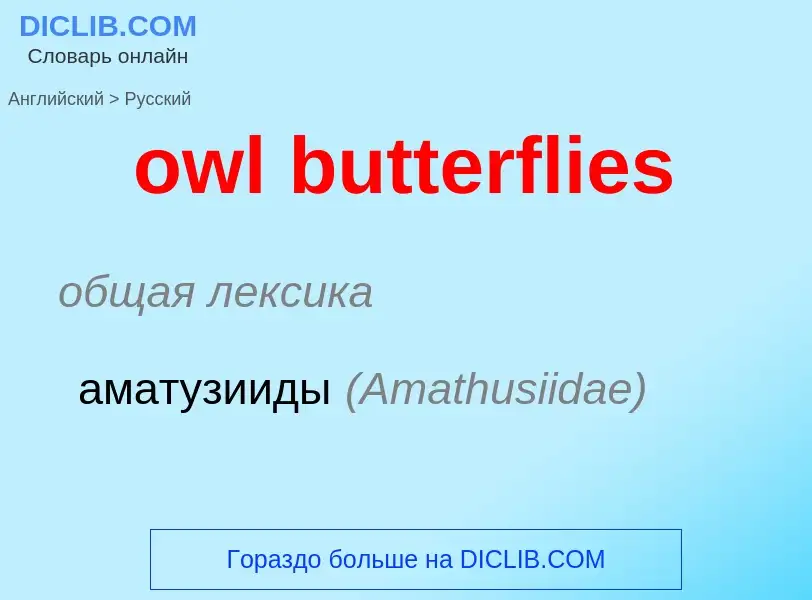 Como se diz owl butterflies em Russo? Tradução de &#39owl butterflies&#39 em Russo