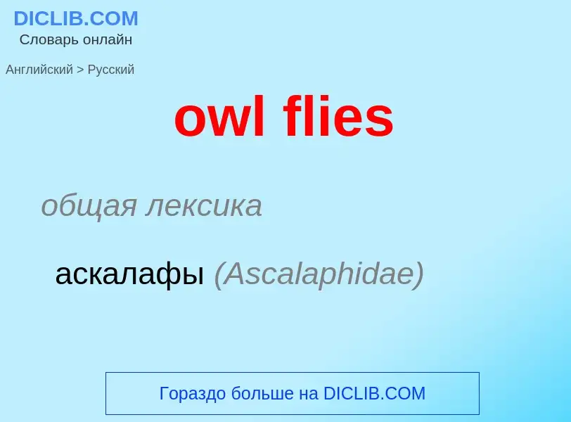 Como se diz owl flies em Russo? Tradução de &#39owl flies&#39 em Russo