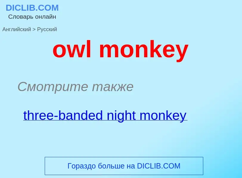 Como se diz owl monkey em Russo? Tradução de &#39owl monkey&#39 em Russo