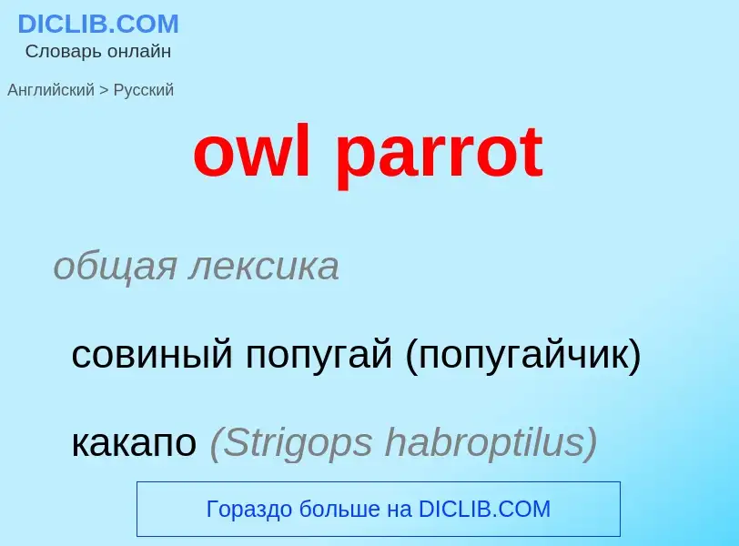 Como se diz owl parrot em Russo? Tradução de &#39owl parrot&#39 em Russo