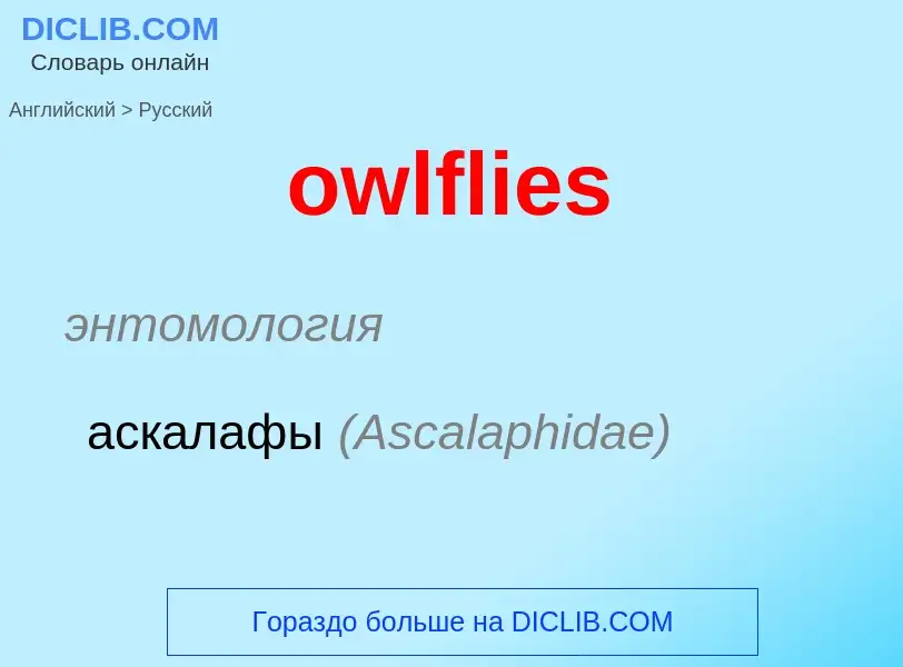 Como se diz owlflies em Russo? Tradução de &#39owlflies&#39 em Russo