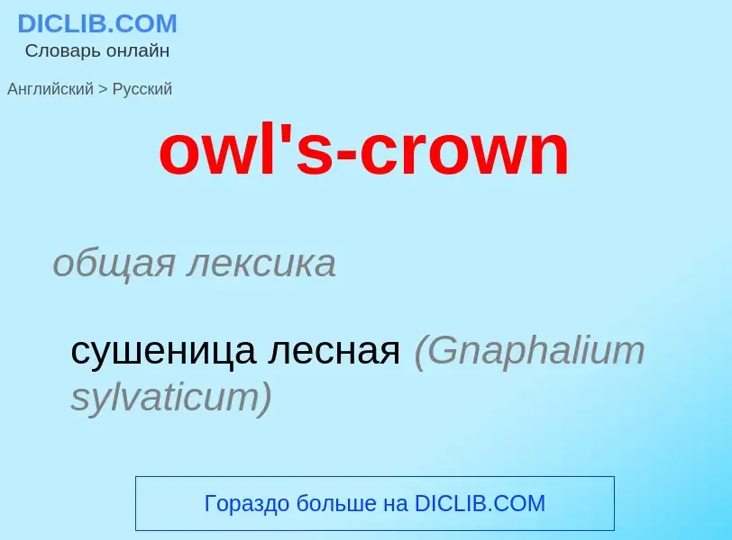 Como se diz owl's-crown em Russo? Tradução de &#39owl's-crown&#39 em Russo