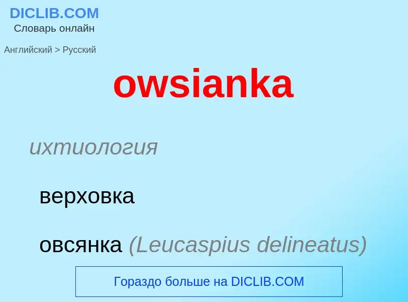 Как переводится owsianka на Русский язык