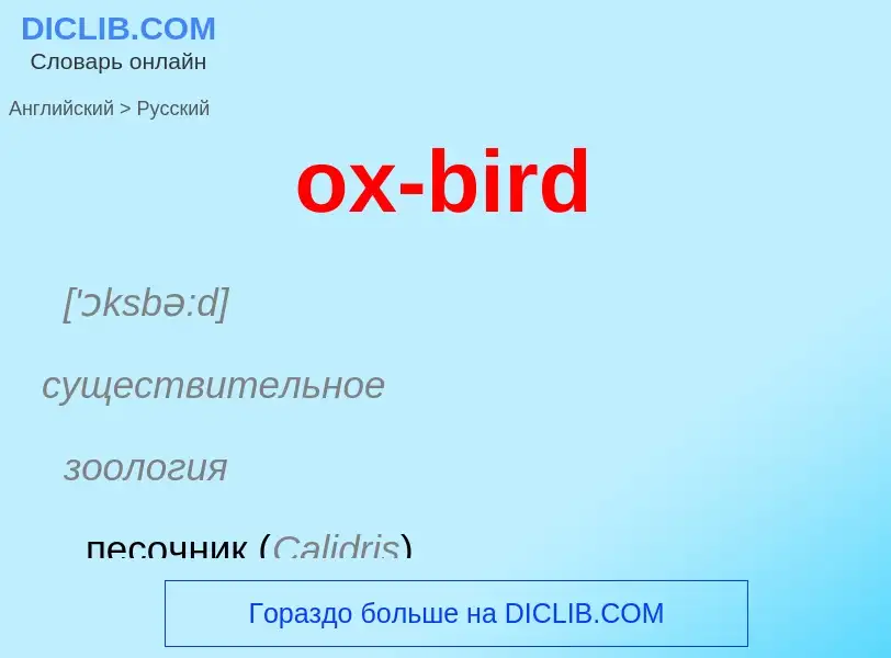 Как переводится ox-bird на Русский язык