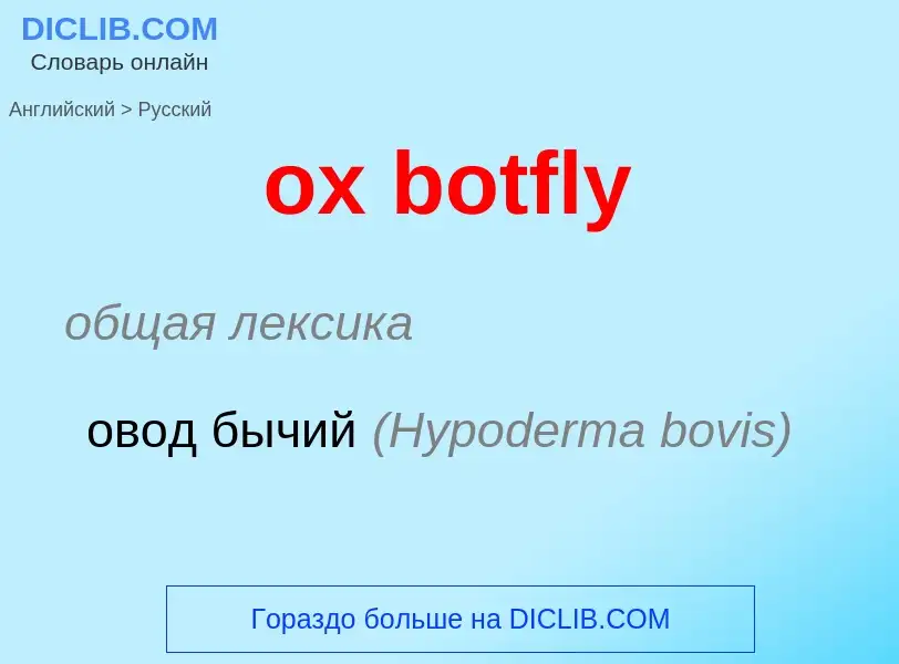 Como se diz ox botfly em Russo? Tradução de &#39ox botfly&#39 em Russo