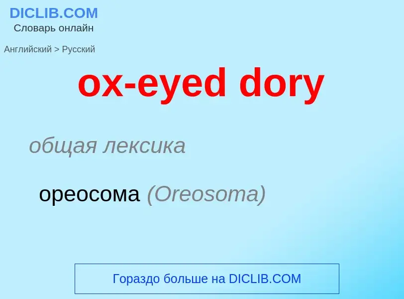 Как переводится ox-eyed dory на Русский язык