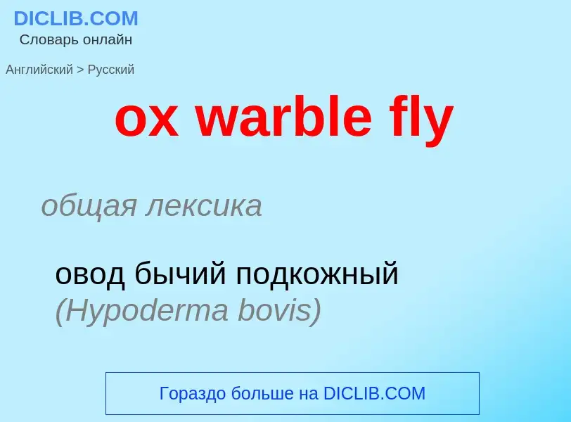 Como se diz ox warble fly em Russo? Tradução de &#39ox warble fly&#39 em Russo