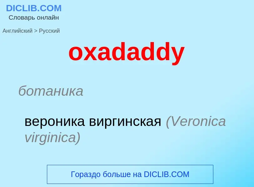 Как переводится oxadaddy на Русский язык