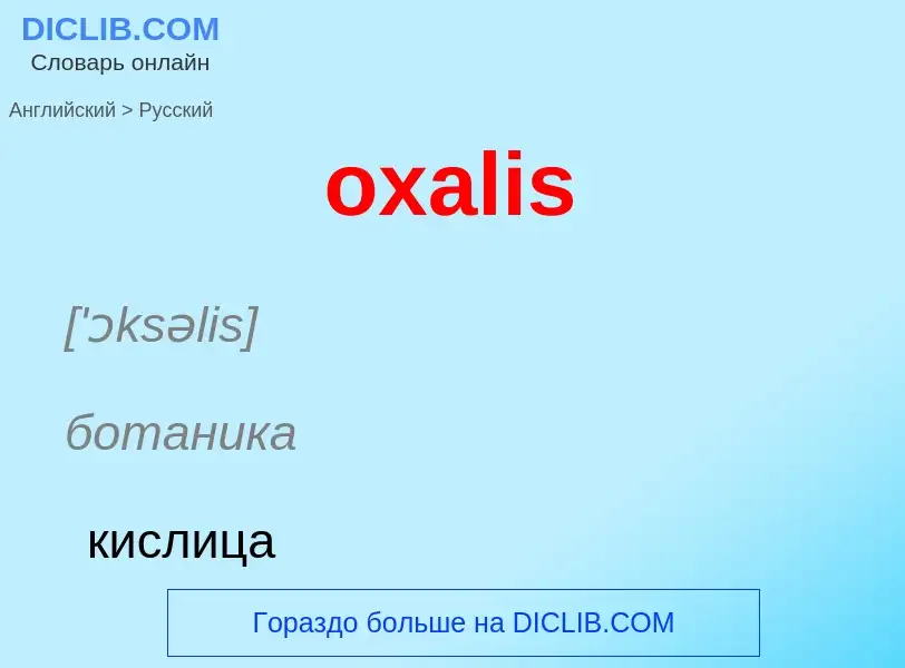 Como se diz oxalis em Russo? Tradução de &#39oxalis&#39 em Russo