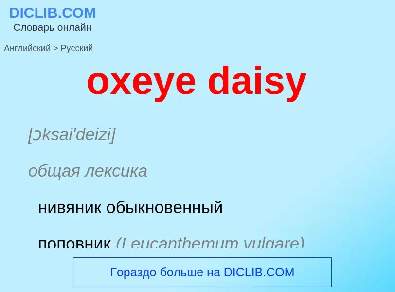 Como se diz oxeye daisy em Russo? Tradução de &#39oxeye daisy&#39 em Russo