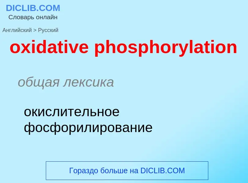 Como se diz oxidative phosphorylation em Russo? Tradução de &#39oxidative phosphorylation&#39 em Rus