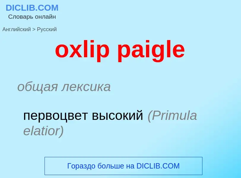 Como se diz oxlip paigle em Russo? Tradução de &#39oxlip paigle&#39 em Russo