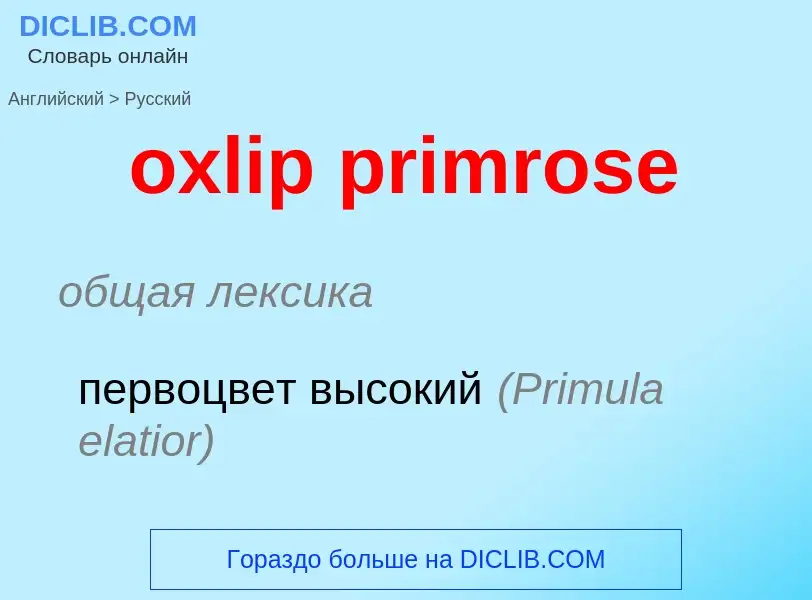 Como se diz oxlip primrose em Russo? Tradução de &#39oxlip primrose&#39 em Russo