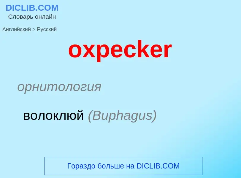 Como se diz oxpecker em Russo? Tradução de &#39oxpecker&#39 em Russo