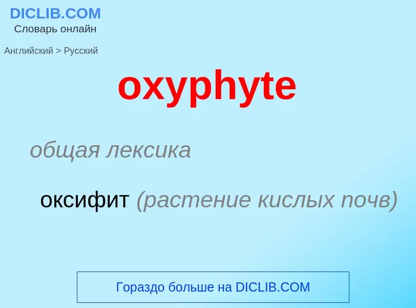 Como se diz oxyphyte em Russo? Tradução de &#39oxyphyte&#39 em Russo