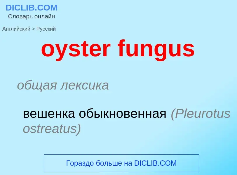 Как переводится oyster fungus на Русский язык