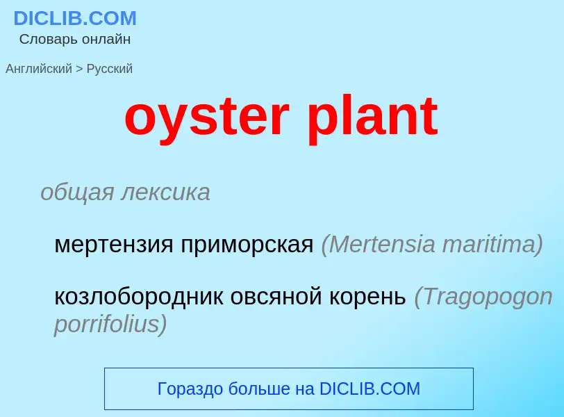 Μετάφραση του &#39oyster plant&#39 σε Ρωσικά