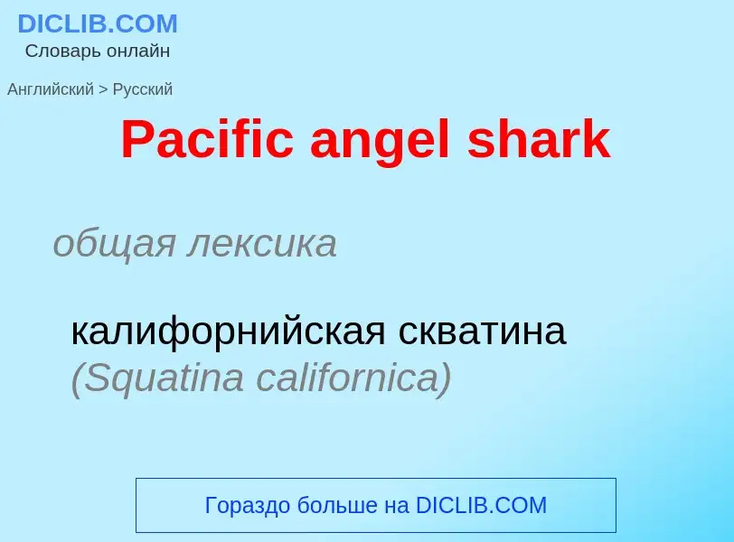 Как переводится Pacific angel shark на Русский язык