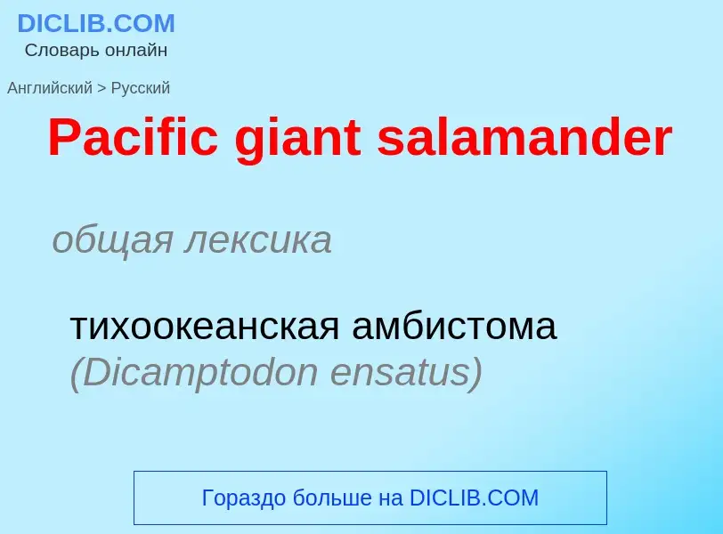 Как переводится Pacific giant salamander на Русский язык