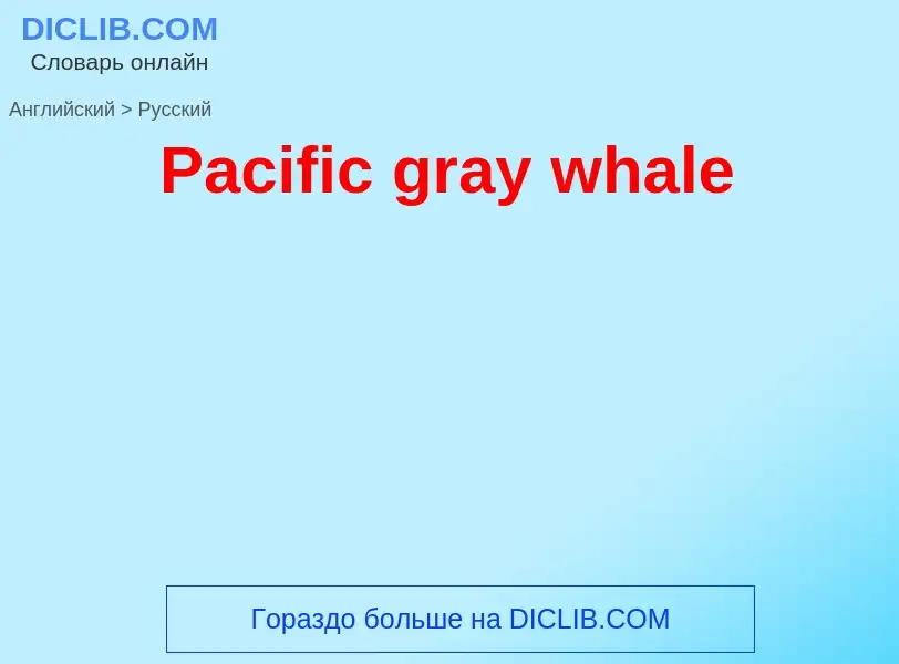 Как переводится Pacific gray whale на Русский язык