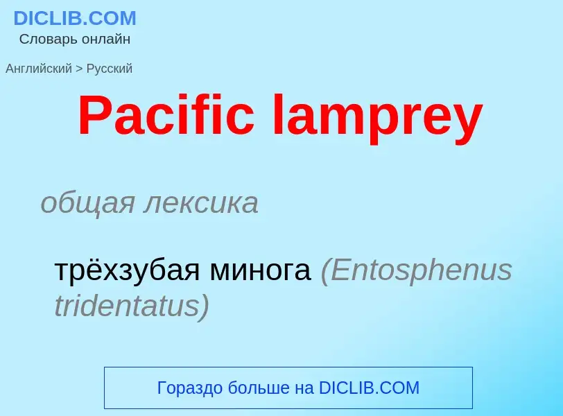 Как переводится Pacific lamprey на Русский язык